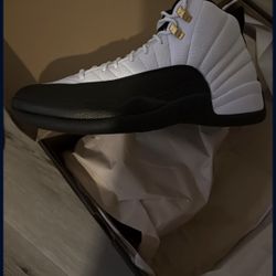 Air jordan taxi 12s 