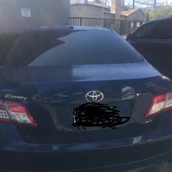2010 Toyota Camry