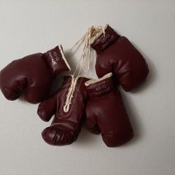 Kids Boxing Gloves.