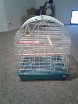 Bird Cage