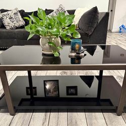 Glass Coffee Table