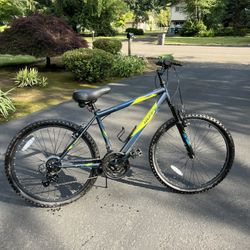 Mountain Bike