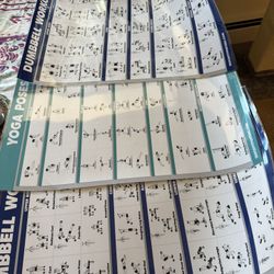 Work Out Laminated Posters OBO