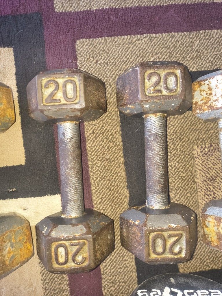 Pair Of 20 Lb Dumbbells 