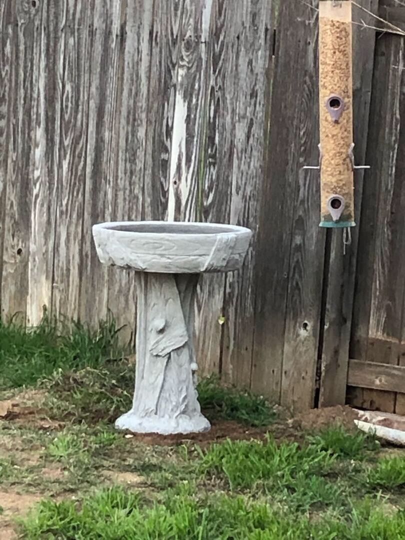 Concrete Birdbath