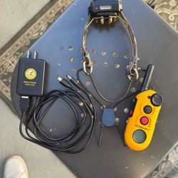 EZ Educator E-Collar Dog Training 