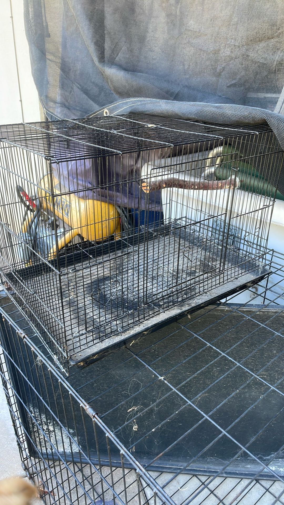 Bird Cage With Wood Stick