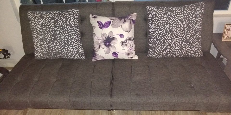 Futon Couch And Sofa