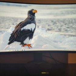 Gaming Monitor 