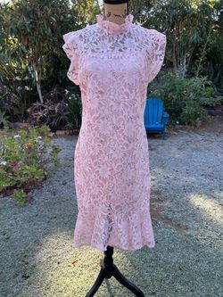 Pink dress by Alexa B Nites size 6