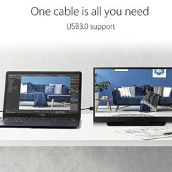 Asus Zenscreen Mb165B 39.6 Cm (15.6") 1366 X 768 Pixels