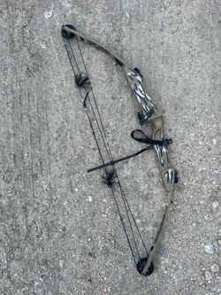 Hoyt ‘Raider’ bow