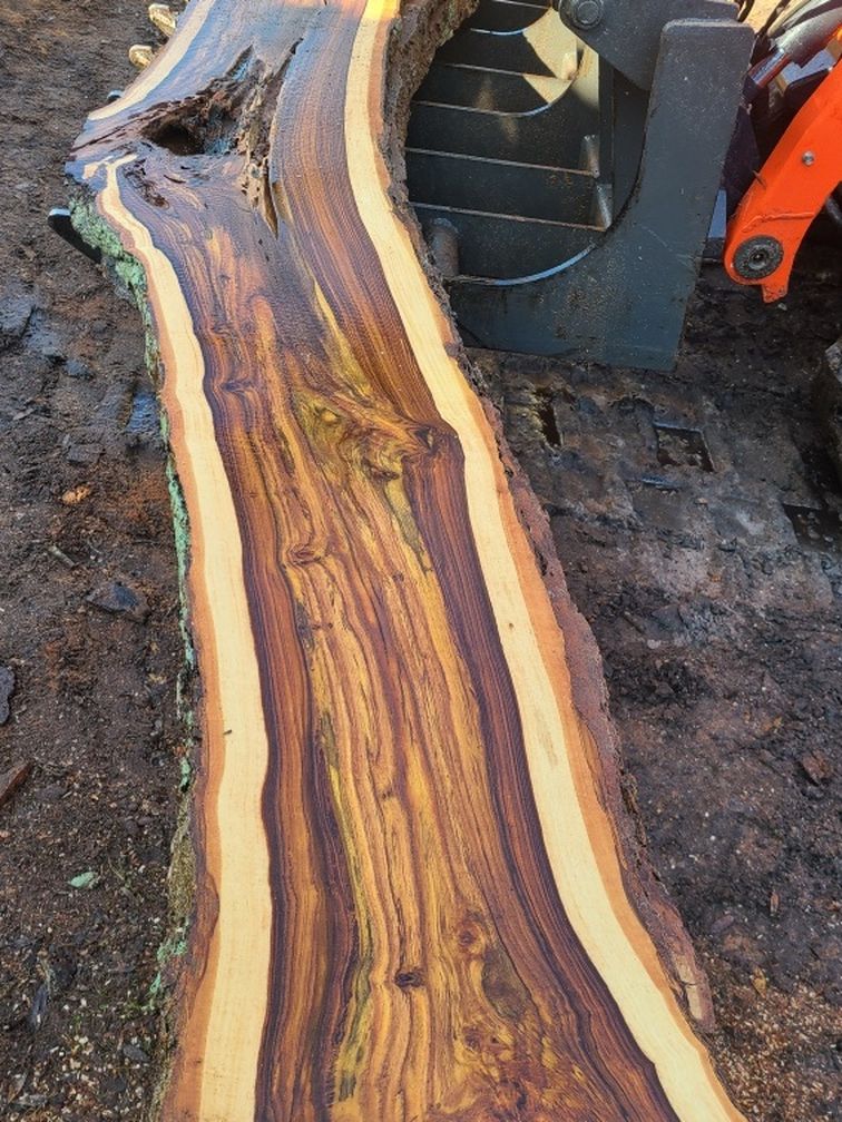 12’ Indian Rosewood Live Edge Slabs $1000 Each
