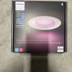phillips hue can lights (2 pack) 
