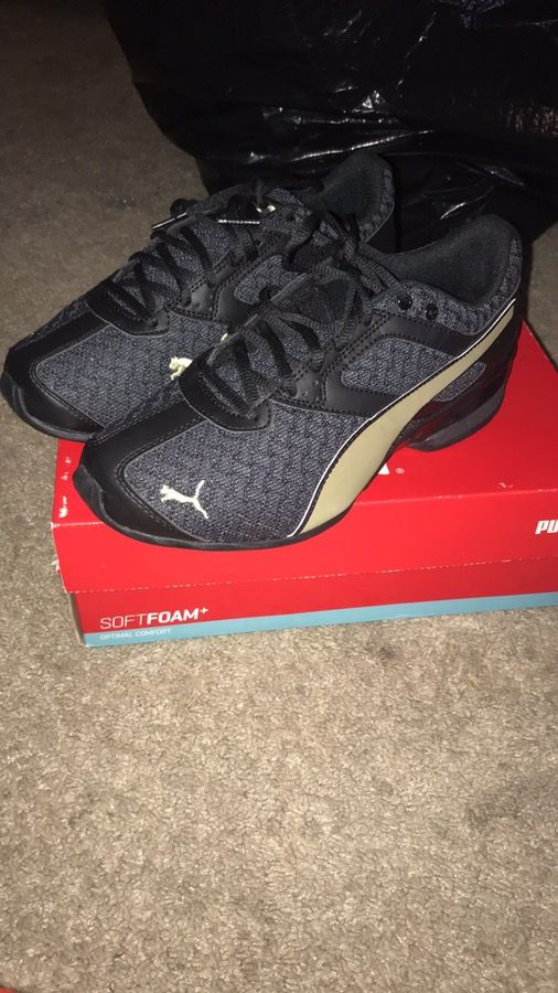 Pumas
