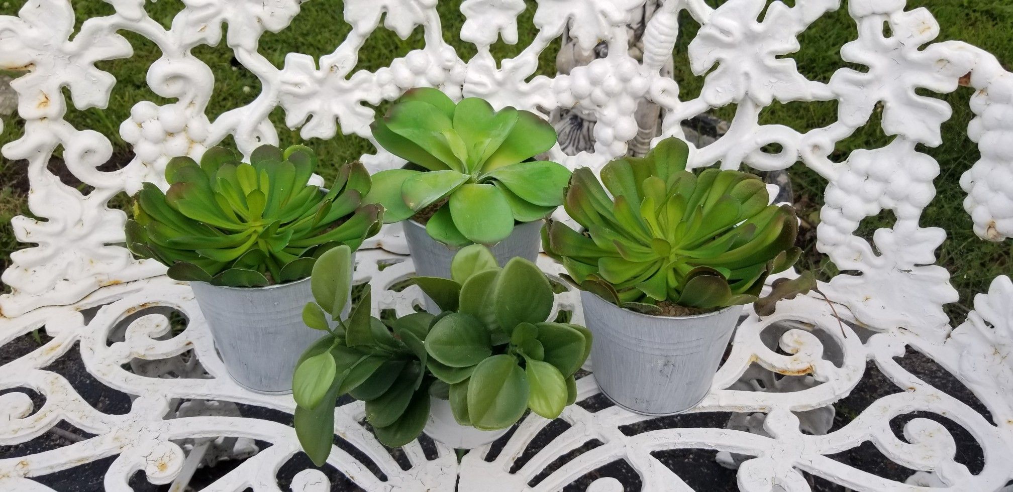 Faux Succulents