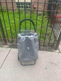 Shopping Cart with Bag