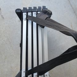 Dog ladder