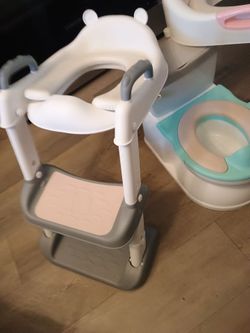 Potty seat with toilet ladder
