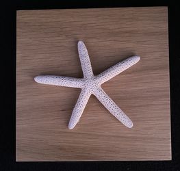 Sea Star Wall Hanging