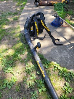 $100 leaf blower