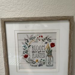 Framed picture that says Bloom where you are planted