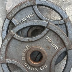 Olympic 25Lb Plate Pair