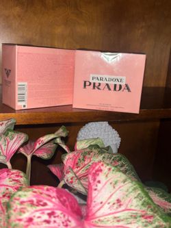 Prada paradoxe🌸