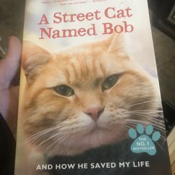 Street Cat Named Bob Book