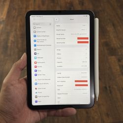 iPad Mini 6th Gen 256gb (Cellular) w/ Apple Pencil