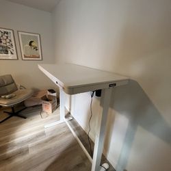 Flexispot Standing Desk