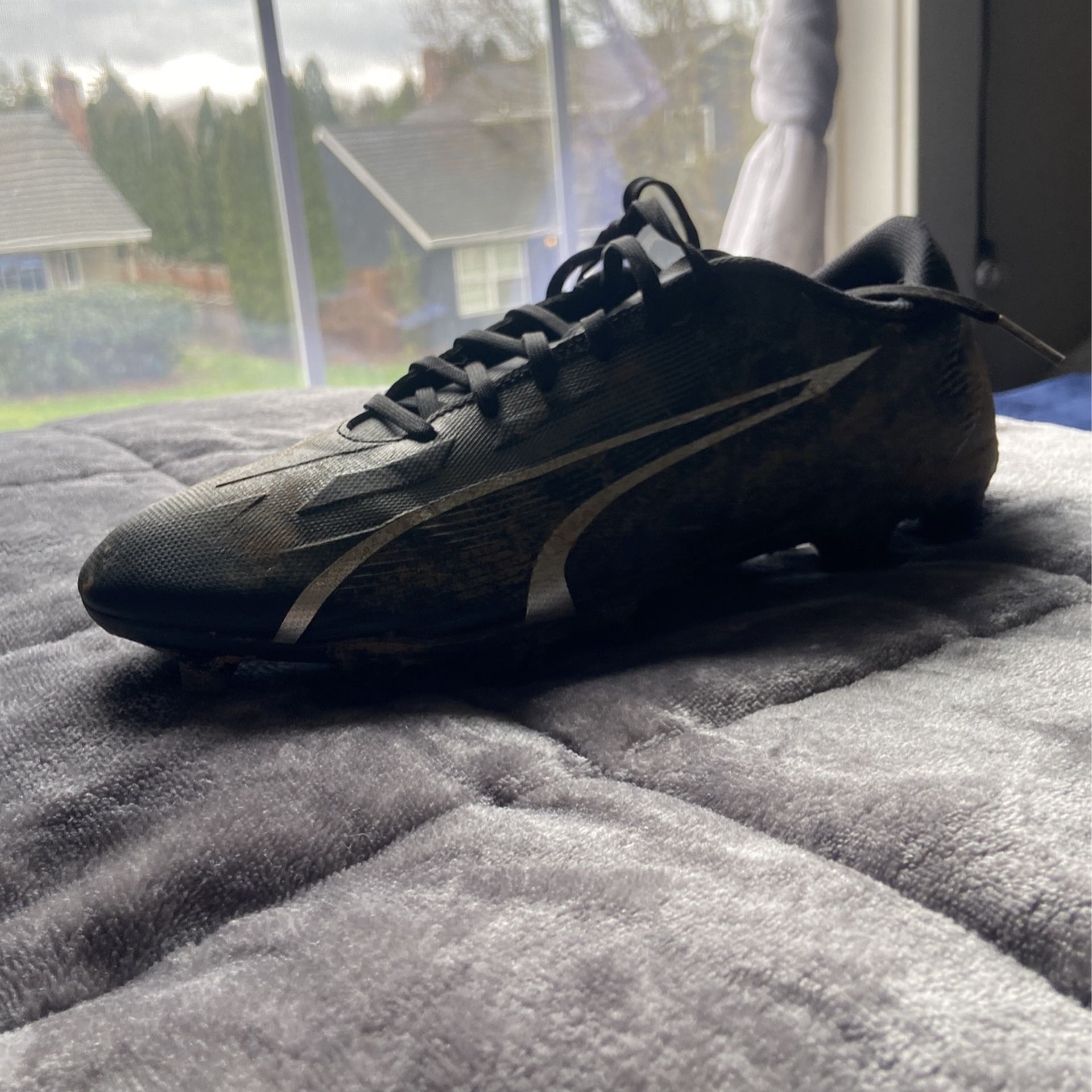 Puma Soccer Cleats