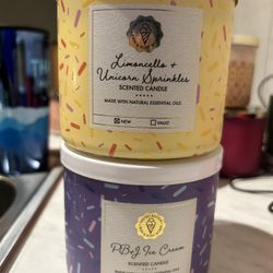 Bath and Body Works Candle 