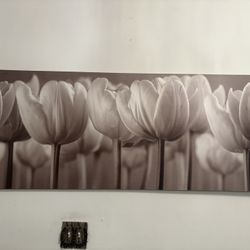 Canvas Wall Art 22 X 55