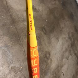 Easton baseball bat (31” / -8).