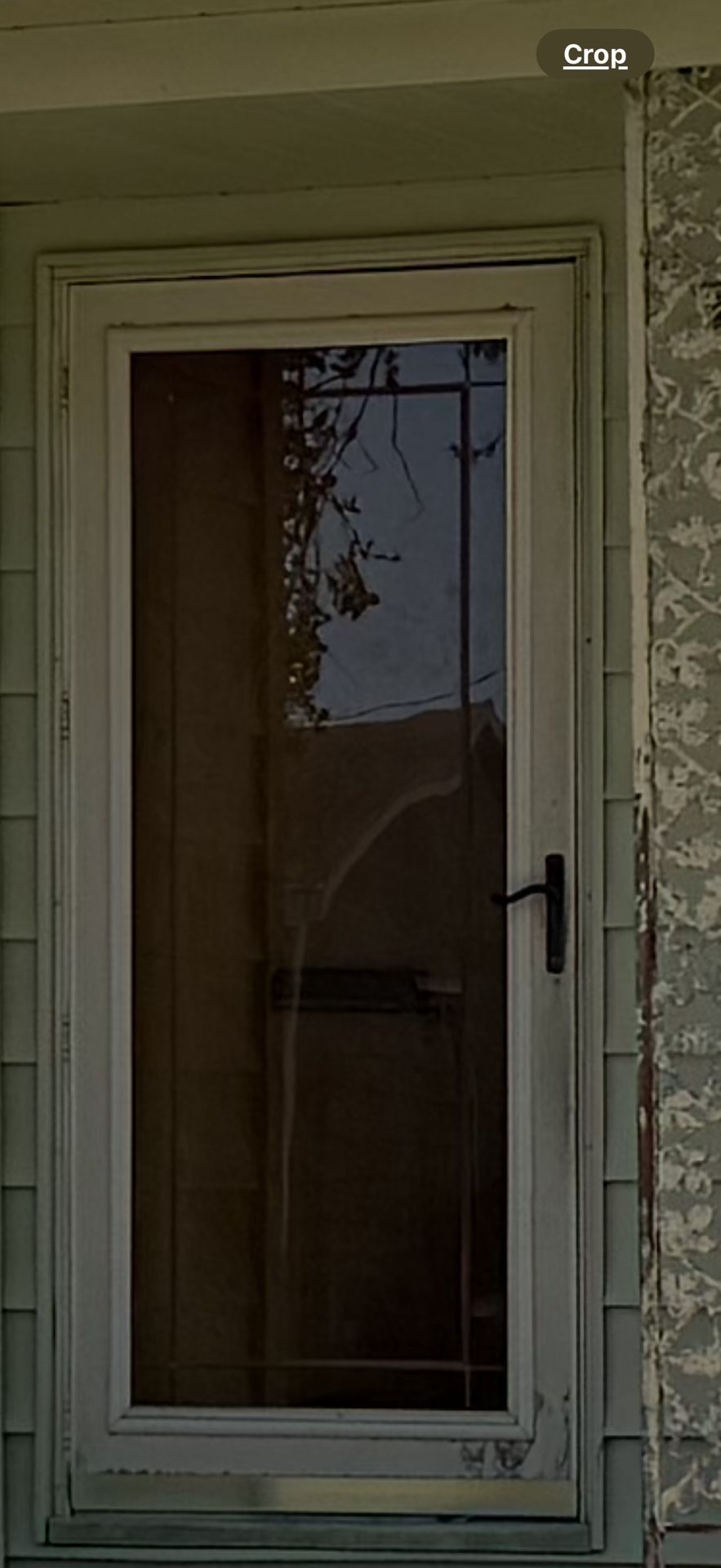 Storm Door $150