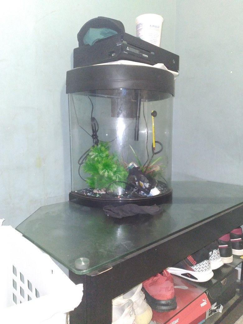 Dm A Price