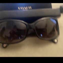 Coach Sunglasses 