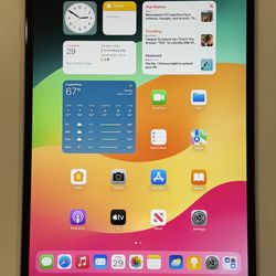 Apple iPad Pro 10.5” 256GB Space Gray WiFi A1701 MPDY2LL/A