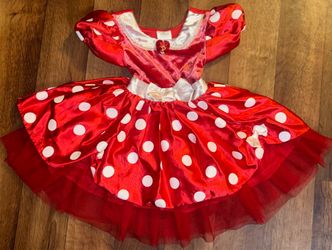 Minnie Mouse Costume
