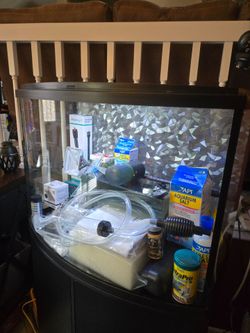 36-Gallon Bowfront Aquarium Setup – Complete Turnkey Kit (Like-New Condition) $350