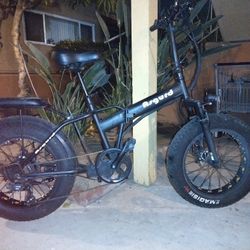 Asgurd Foldable E Bike