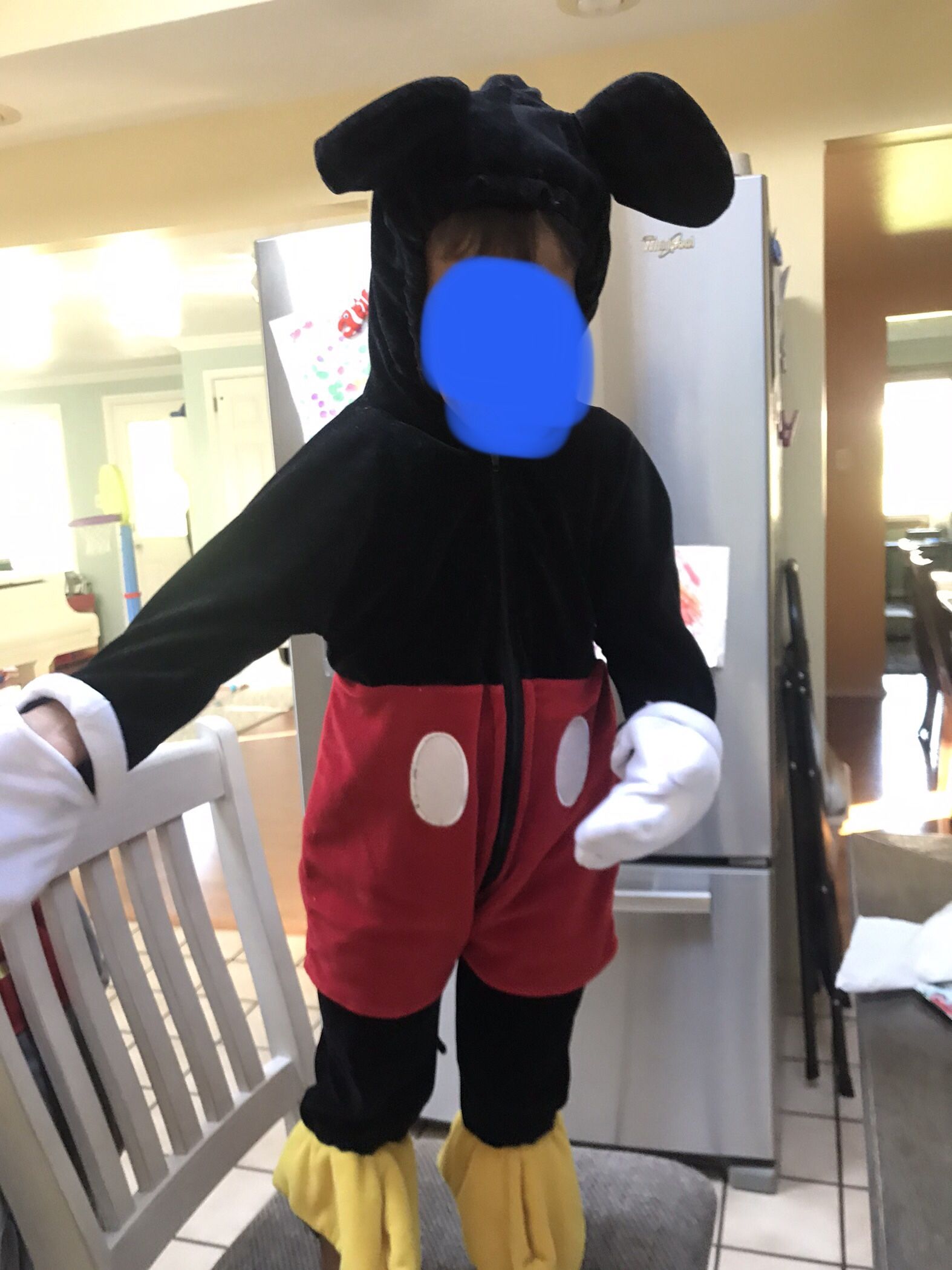 Deluxe Adult Disney Mickey Mouse Costume