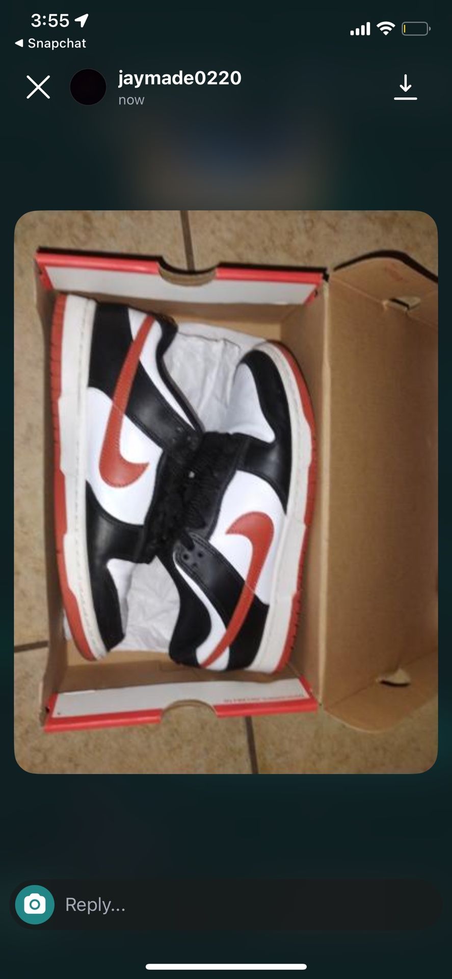 Nike Dunks Shoes