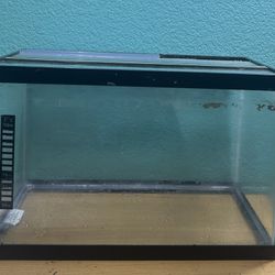 Fish Tanks And More