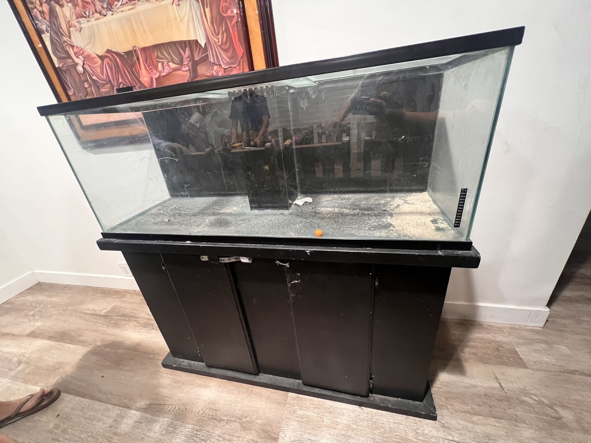 50 Gallon Fish Tank