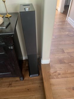 Brookstone Speaker