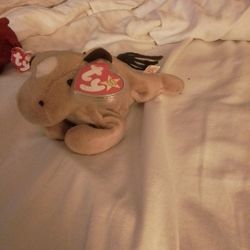 Retired 1995 Derby Horse 