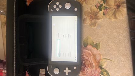 Nintendo Switch lite (Includes case, Minecraft , charger)