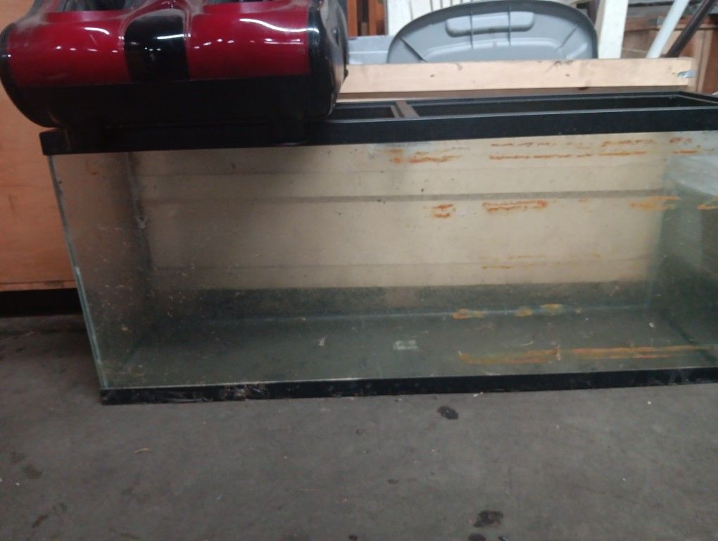 55 Gallon Fish Tank